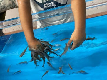 越前松島水族館に投稿された画像（2023/7/25）