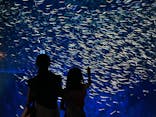 大分マリーンパレス水族館 「うみたまご」に投稿された画像（2023/7/25）