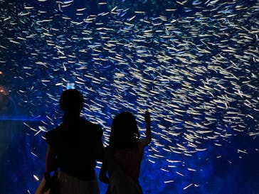 大分マリーンパレス水族館 「うみたまご」に投稿された画像（2023/7/25）