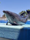 越前松島水族館に投稿された画像（2023/7/25）