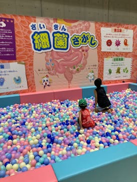 超からだのひみつ大冒険 in 新潟に投稿された画像（2023/7/25）