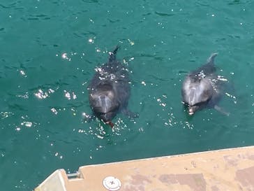 下田海中水族館に投稿された画像（2023/7/25）