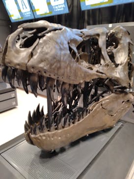 福井県立恐竜博物館に投稿された画像（2023/7/25）