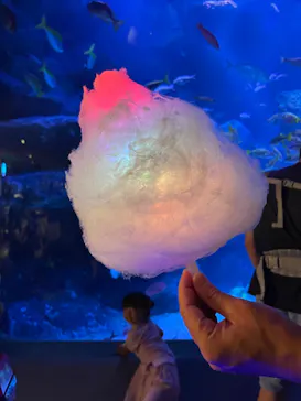 すみだ水族館に投稿された画像（2023/7/25）