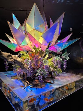 NARA IKIMONO MUSEUMに投稿された画像（2023/7/25）