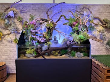 NARA IKIMONO MUSEUMに投稿された画像（2023/7/25）