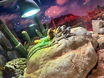 NARA IKIMONO MUSEUMに投稿された画像（2023/7/25）