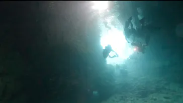 武藤潜水に投稿された画像（2023/7/25）