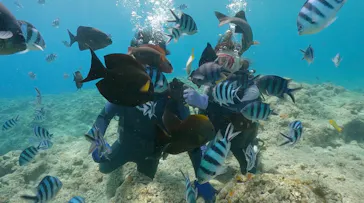 武藤潜水に投稿された画像（2023/7/25）