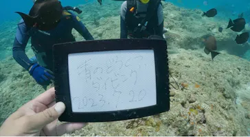 武藤潜水に投稿された画像（2023/7/25）