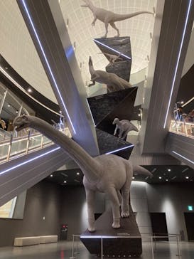 福井県立恐竜博物館に投稿された画像（2023/7/25）