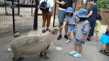 那須どうぶつ王国に投稿された画像（2023/7/25）