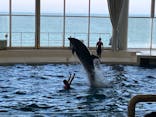 アクアワールド茨城県大洗水族館に投稿された画像（2023/7/25）