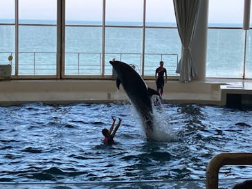 アクアワールド茨城県大洗水族館に投稿された画像（2023/7/25）