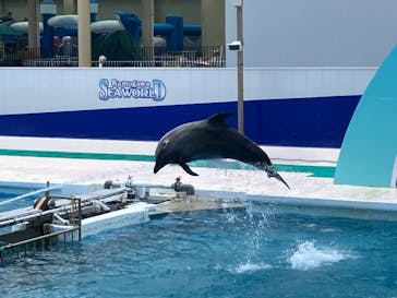 鴨川シーワールドに投稿された画像（2023/7/25）