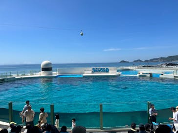 鴨川シーワールドに投稿された画像（2023/7/25）