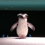 AOAO SAPPOROに投稿された画像（2023/7/25）