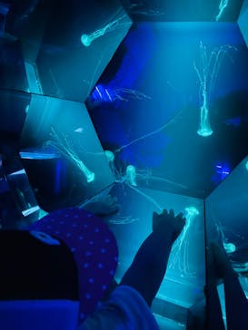 九十九島水族館海きららに投稿された画像（2023/7/25）