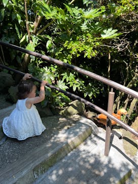 伊豆シャボテン動物公園に投稿された画像（2023/7/25）