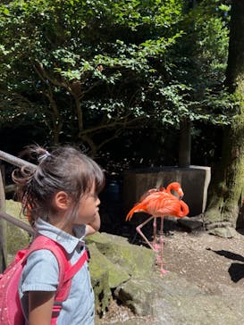 伊豆シャボテン動物公園に投稿された画像（2023/7/25）