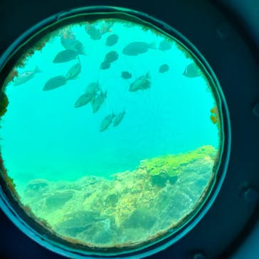 串本海中公園水族館に投稿された画像（2023/7/25）