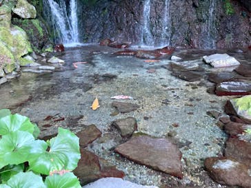 箱根湯本温泉 天成園に投稿された画像（2023/7/25）