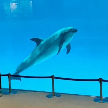 名古屋港水族館に投稿された画像（2023/7/25）