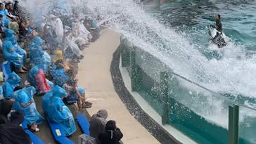 鴨川シーワールドに投稿された画像（2023/7/5）