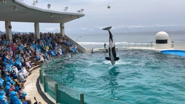 鴨川シーワールドに投稿された画像（2023/7/5）