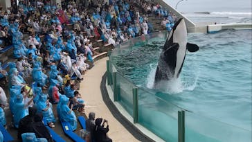 鴨川シーワールドに投稿された画像（2023/7/5）