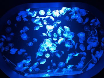 AOAO SAPPOROに投稿された画像（2023/7/25）