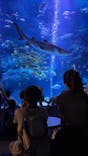 すみだ水族館に投稿された画像（2023/7/25）