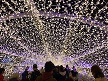 東京メガイルミに投稿された画像（2023/6/18）