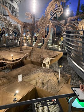 福井県立恐竜博物館に投稿された画像（2023/7/25）