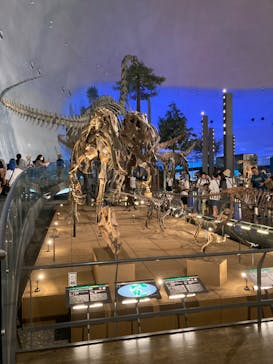 福井県立恐竜博物館に投稿された画像（2023/7/25）