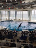 アクアワールド茨城県大洗水族館に投稿された画像（2023/7/26）