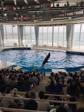 アクアワールド茨城県大洗水族館に投稿された画像（2023/7/25）