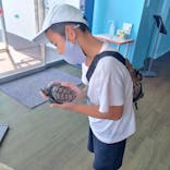 串本海中公園水族館に投稿された画像（2023/7/26）