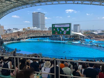 名古屋港水族館に投稿された画像（2023/7/25）