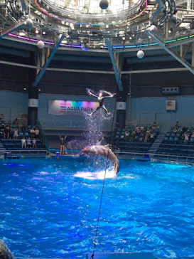 マクセル アクアパーク品川に投稿された画像（2023/7/25）