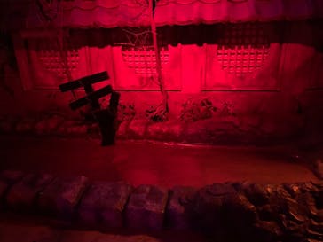 ナンジャタウンに投稿された画像（2023/7/26）