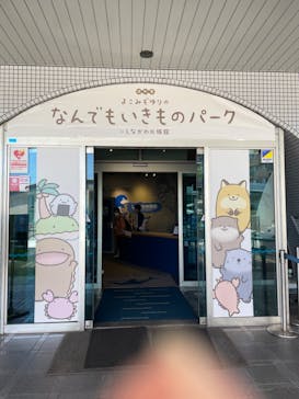 しながわ水族館に投稿された画像（2023/7/26）