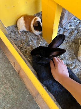 那須サファリパークに投稿された画像（2023/7/26）