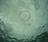 武藤潜水に投稿された画像（2023/7/26）