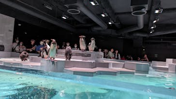 AOAO SAPPOROに投稿された画像（2023/7/26）