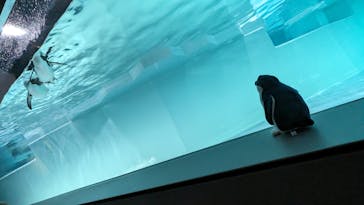 AOAO SAPPOROに投稿された画像（2023/7/26）