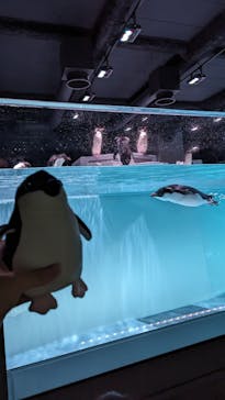 AOAO SAPPOROに投稿された画像（2023/7/26）