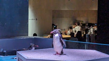 AOAO SAPPOROに投稿された画像（2023/7/26）