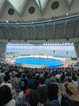 マリンワールド海の中道に投稿された画像（2023/7/26）