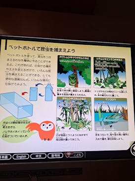 国立科学博物館に投稿された画像（2023/7/26）